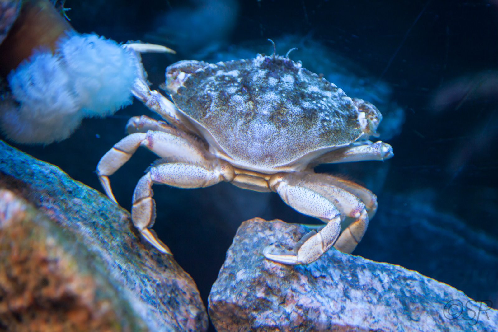 Marine Environment Discovery Centre near Les Escoumins, Quebec