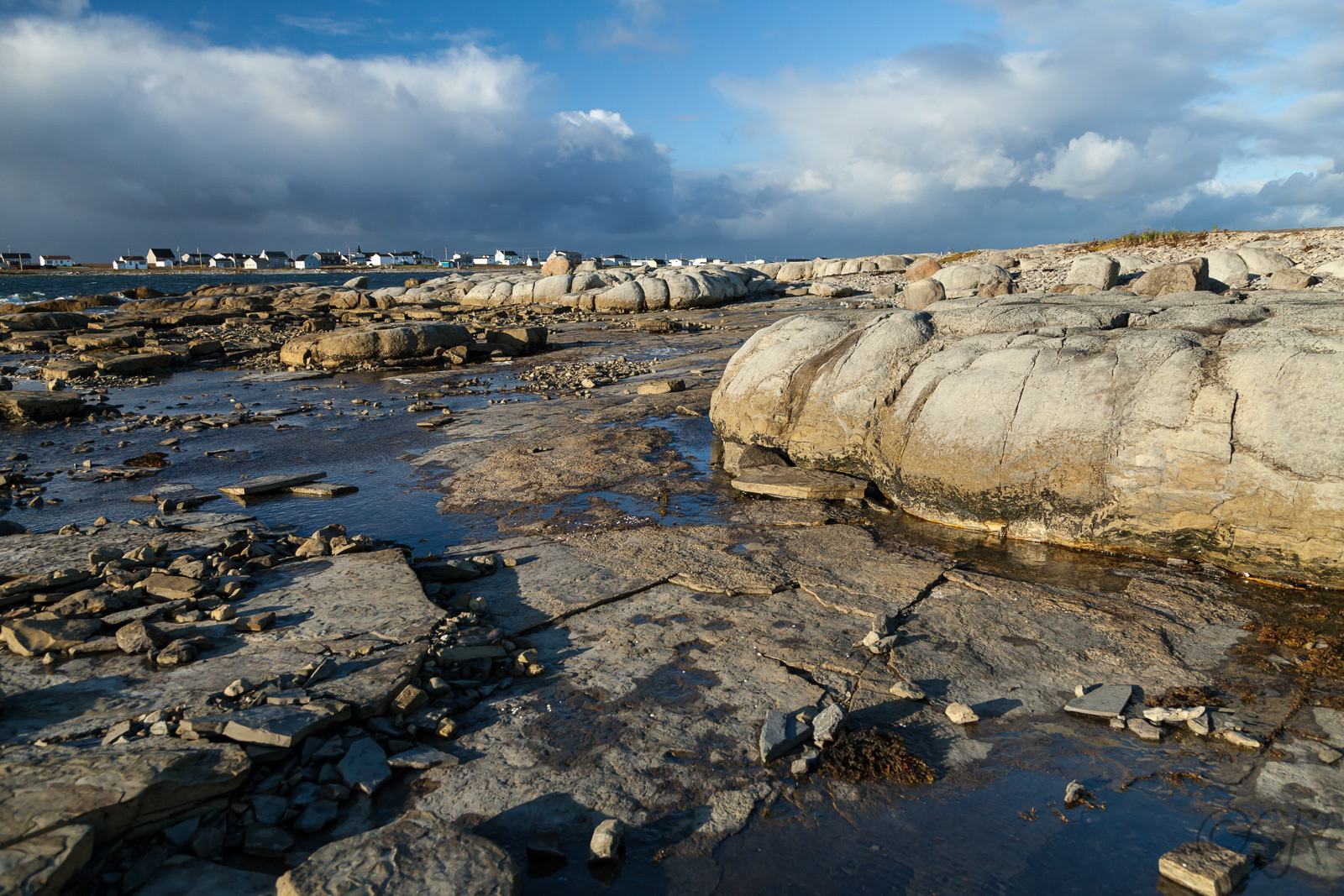 Rare thromoblites at Flower's Cove
