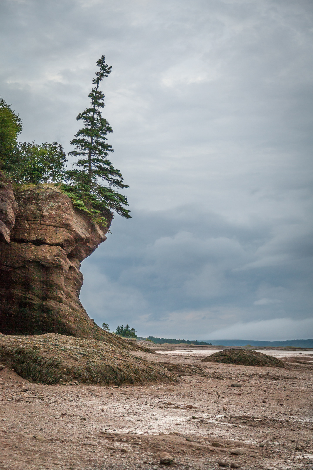 Hopewell Rocks (Flower Pot Rocks), Hopewell Cape, NB
