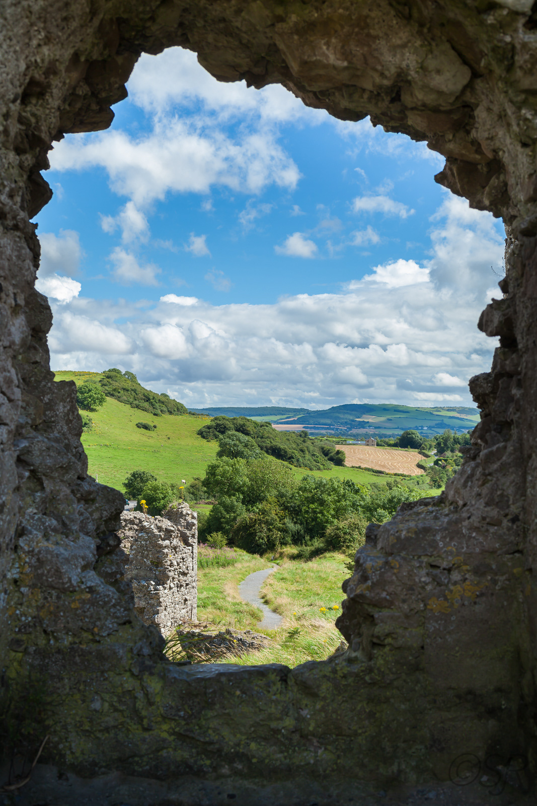 View from Rock of Dunamase, Co. Laois, Ireland