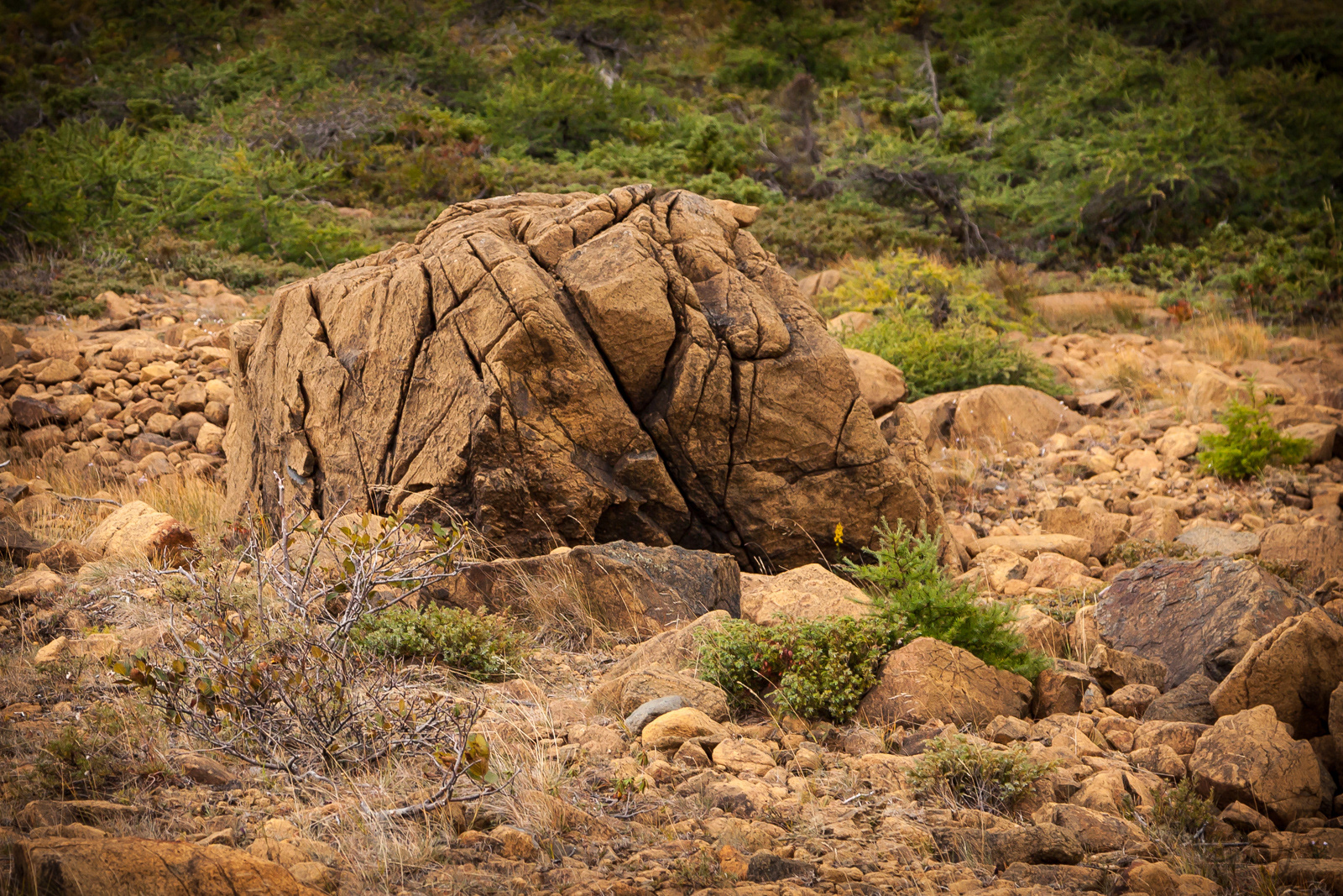 The Tablelands, Gros Morne National Park