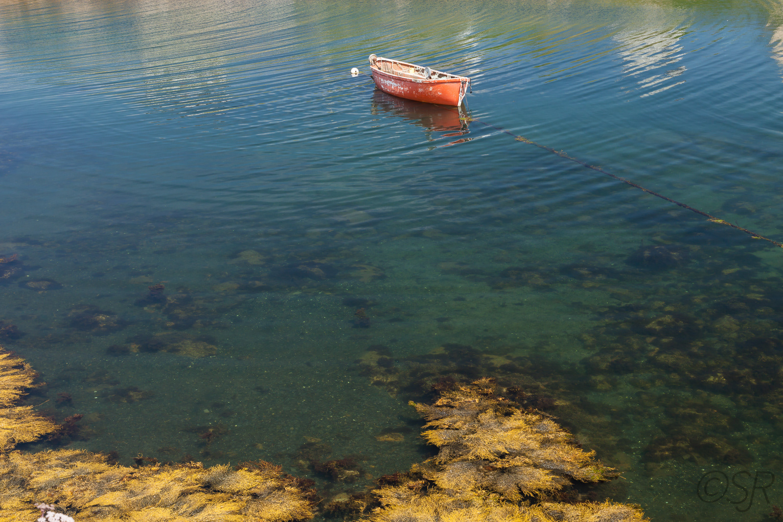 Peggy's Cove, NS