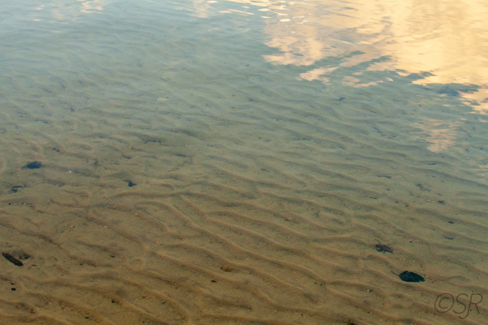 Mikisew Provincial Park