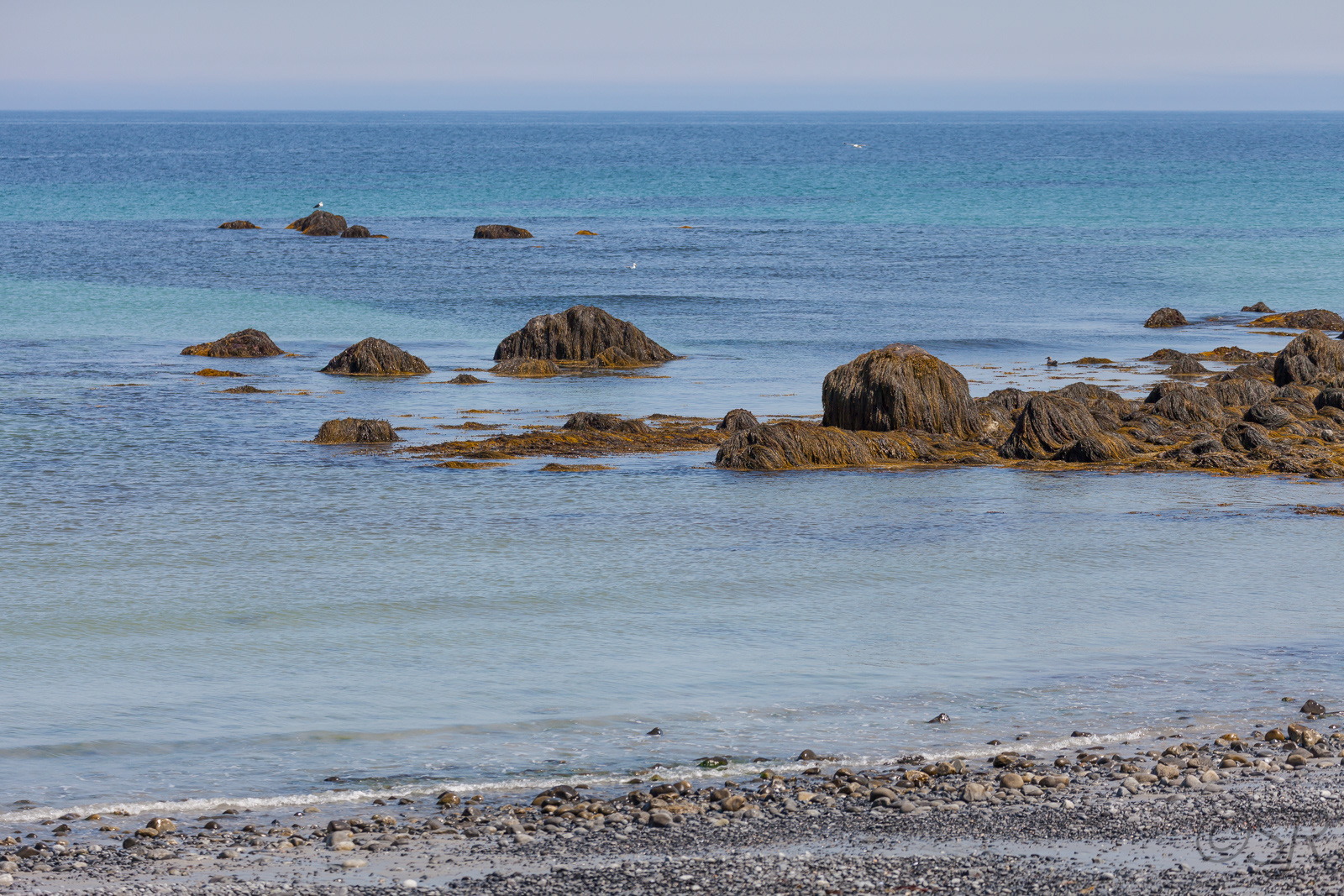 Cape Sable Island, NS