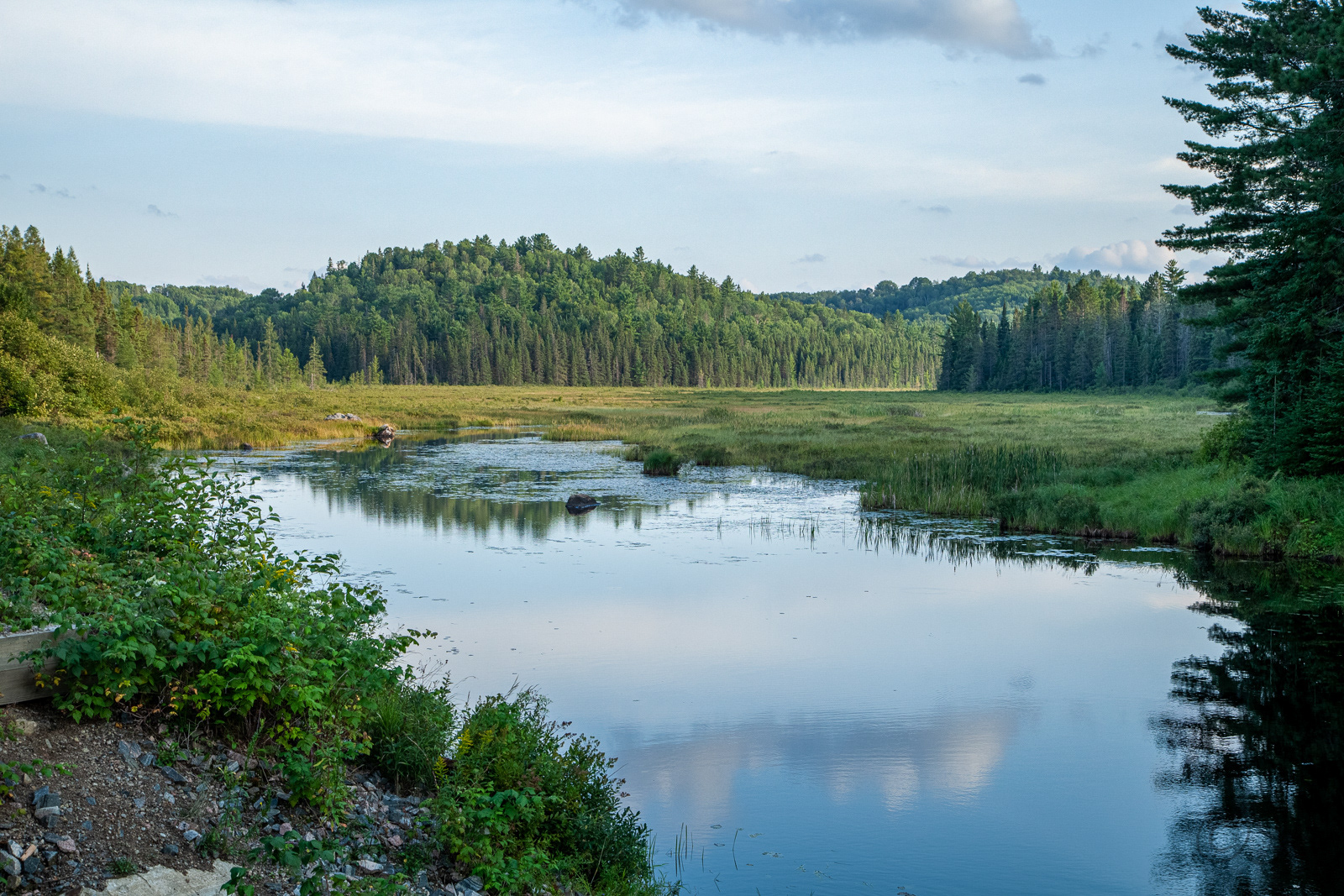 Algonquin Park