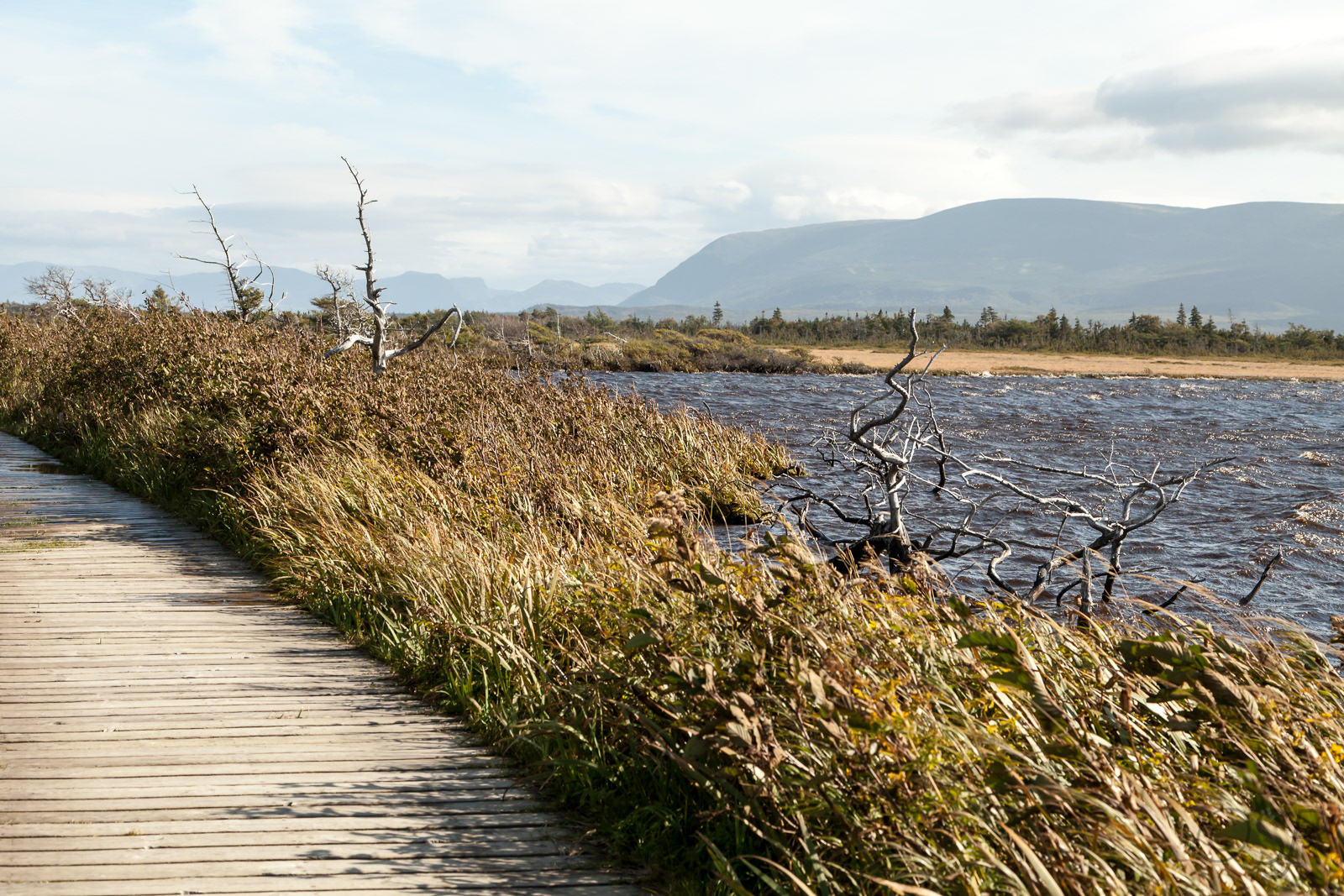 Along the trail to Western Brook Pond
