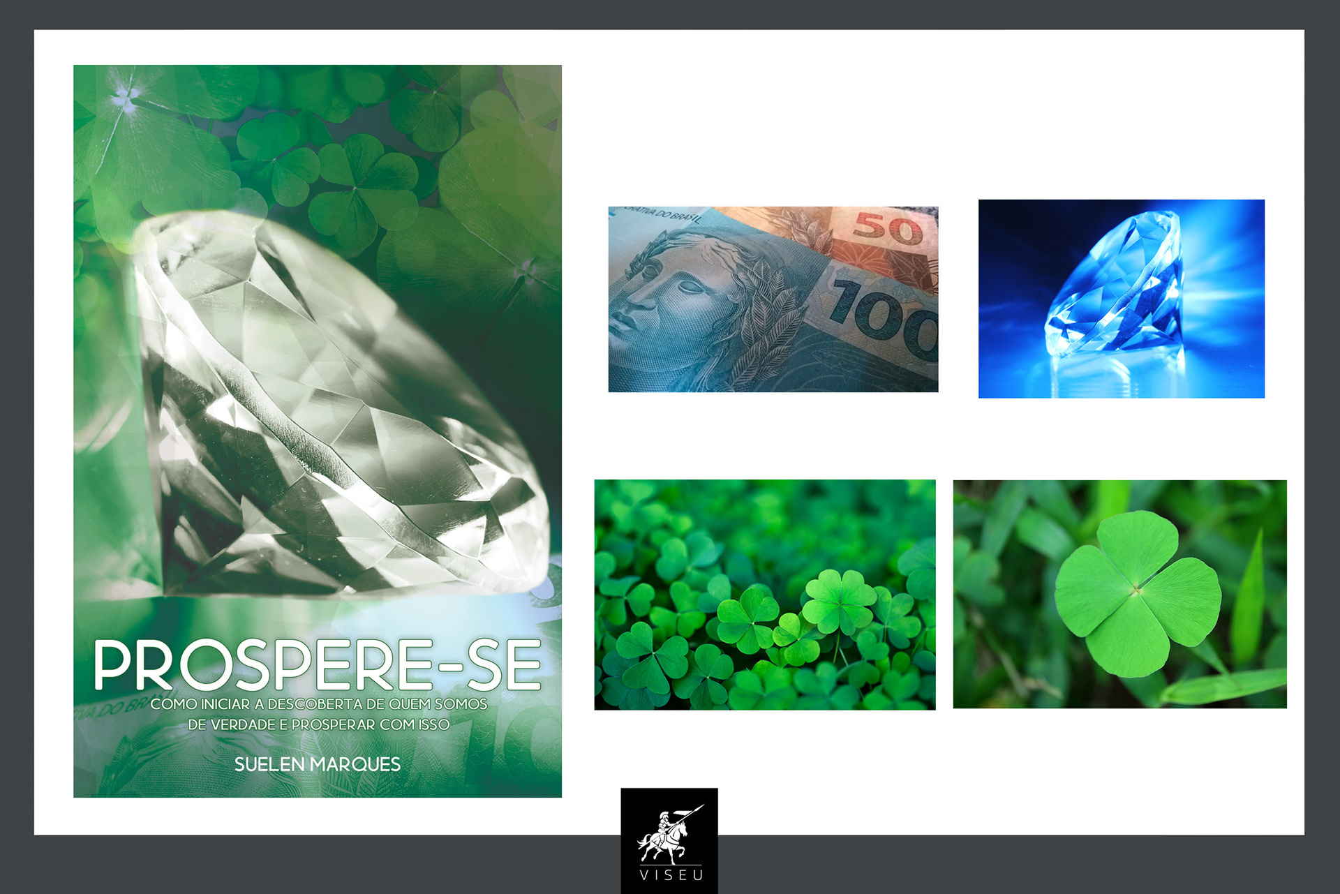 Capa de Livro - Prospere-se - Viseu
