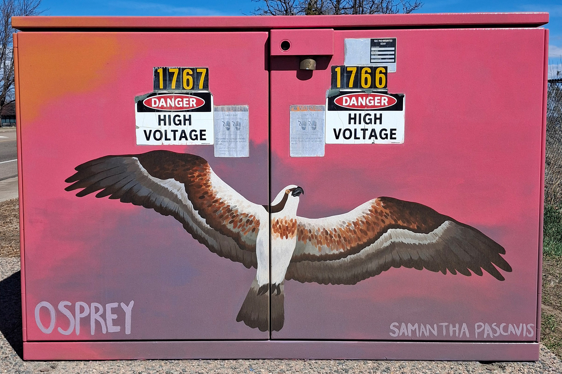 "Osprey" - 2024 - 1542 S. Sunset St. in Longmont, CO - Shock Art Program - Colorado Raptor species