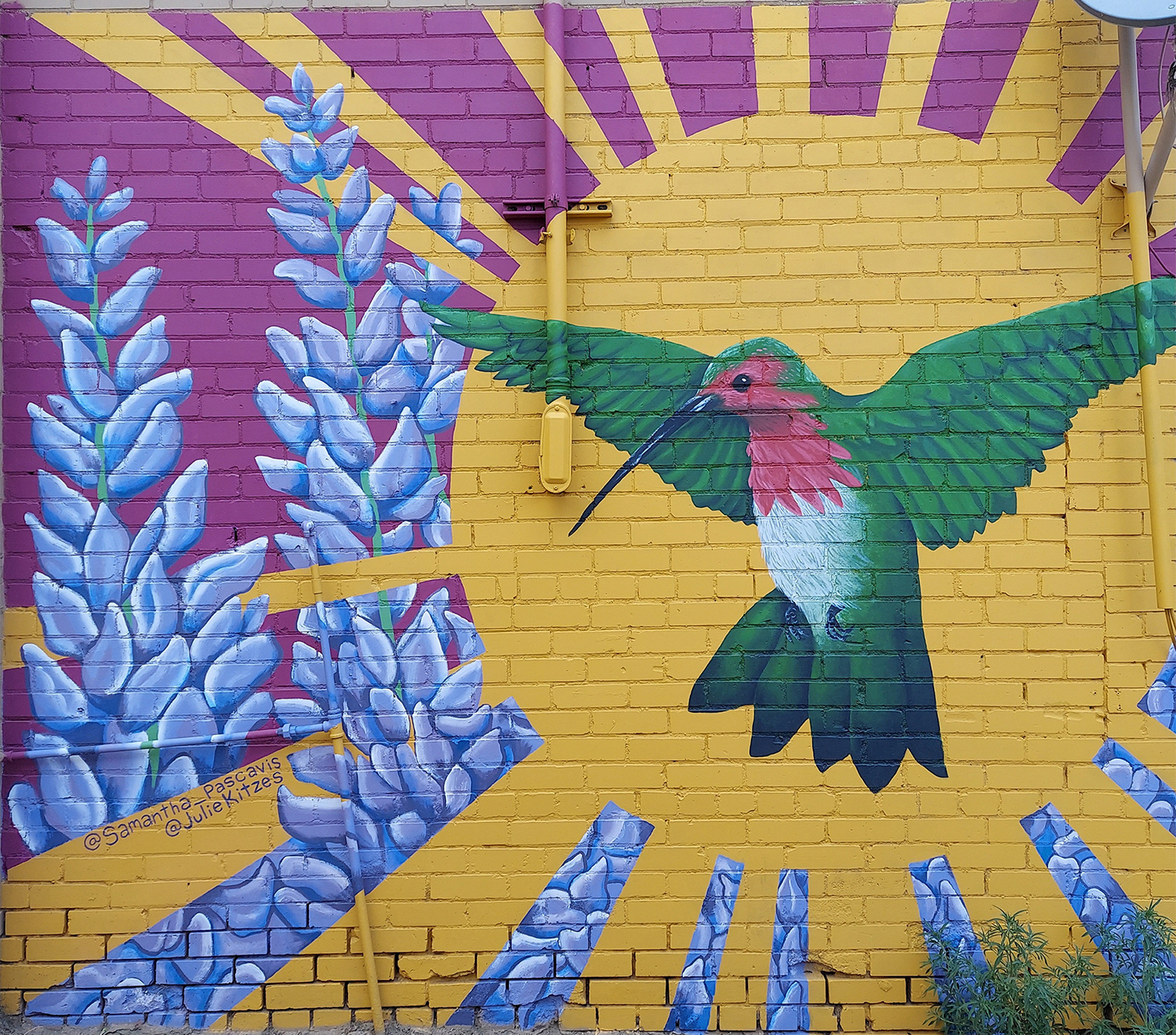 "Calliope" - Collaboration with Julie Kitzes - 2022 - 170 sq. ft. - Far Out Mural Fest - Located at 107 E. 5th St. in Walsenburg, CO - A rare, local Hummingbird species