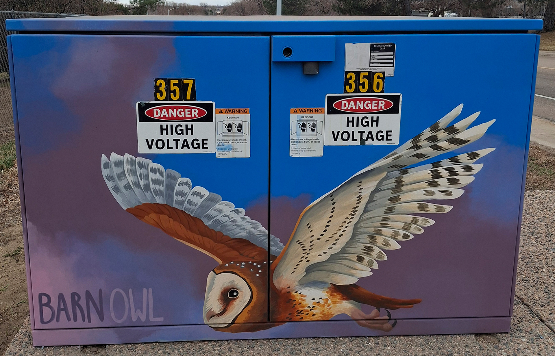 "Barn Owl" - 2024 - 1542 S. Sunset St. in Longmont, CO - Shock Art Program - Colorado Raptor species