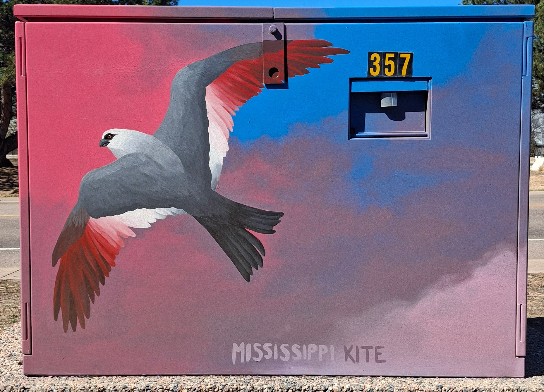 "Mississippi Kite" - 2024 - 1542 S. Sunset St. in Longmont, CO - Shock Art Program - Colorado Raptor species