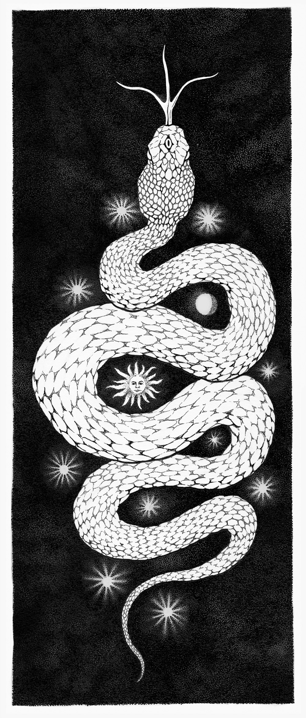 "Celestial Serpent" - Samantha Pascavis - 2021 - 12.25 x 5.25, Pen on Bristol board - The World Serpent amongst the Twelve Celestial Rulers