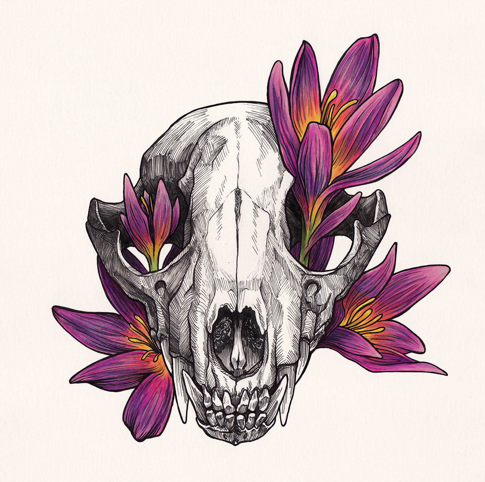 "Autumn Raccoon" - Samantha Pascavis - 2021 - 8.5 x 10.5, Pen and alcohol marker on marker paper - Raccoon skull with crocuses