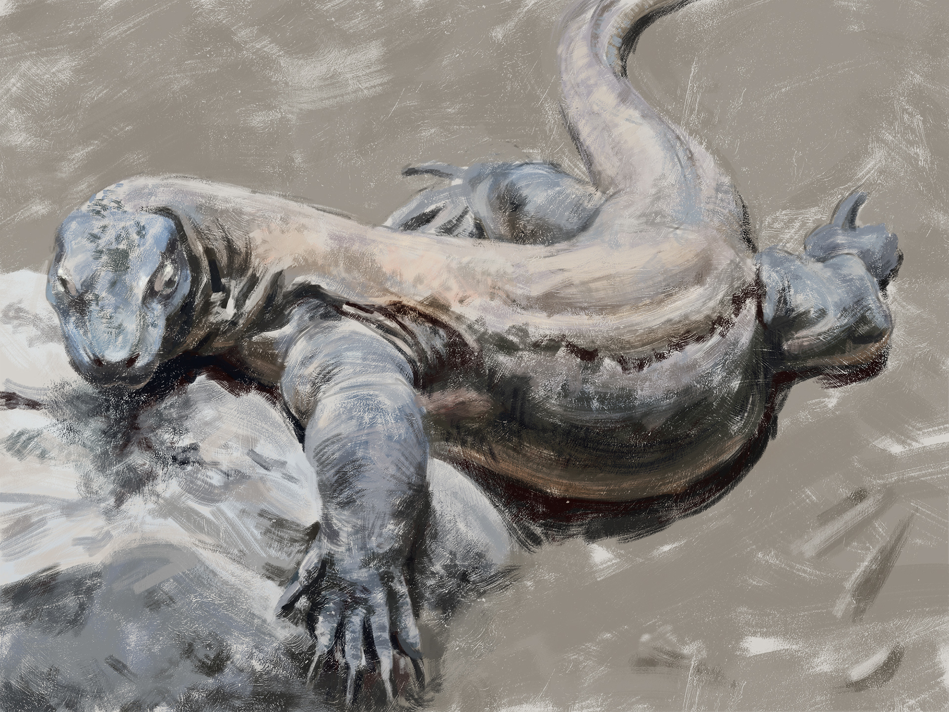 "Komodo" - Samantha Pascavis - 2018 - 9 x 12, Digital - Study from a live Komodo Dragon