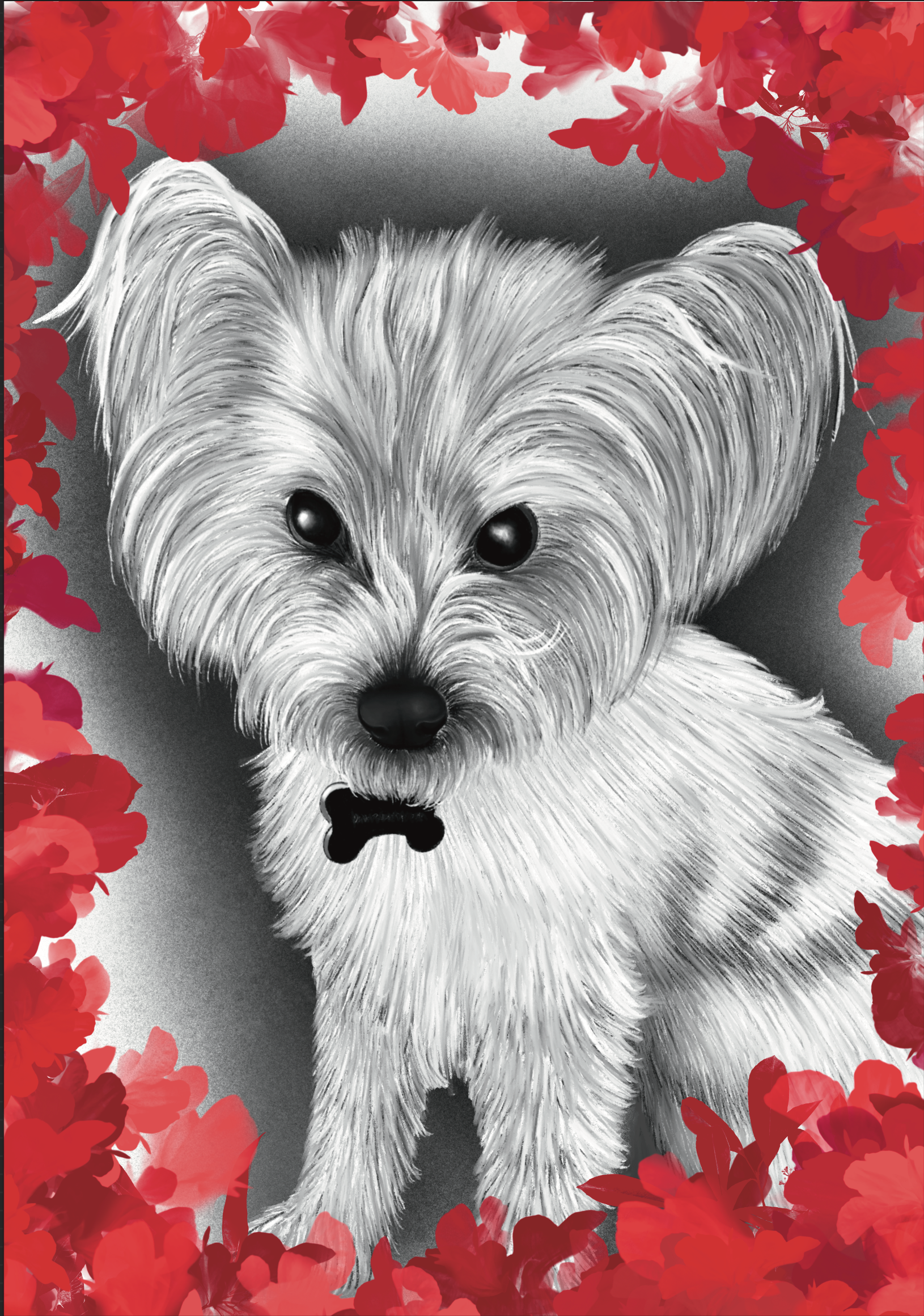 Maggie Portrait 2024