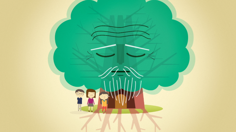 Sabino, el árbol del tule.