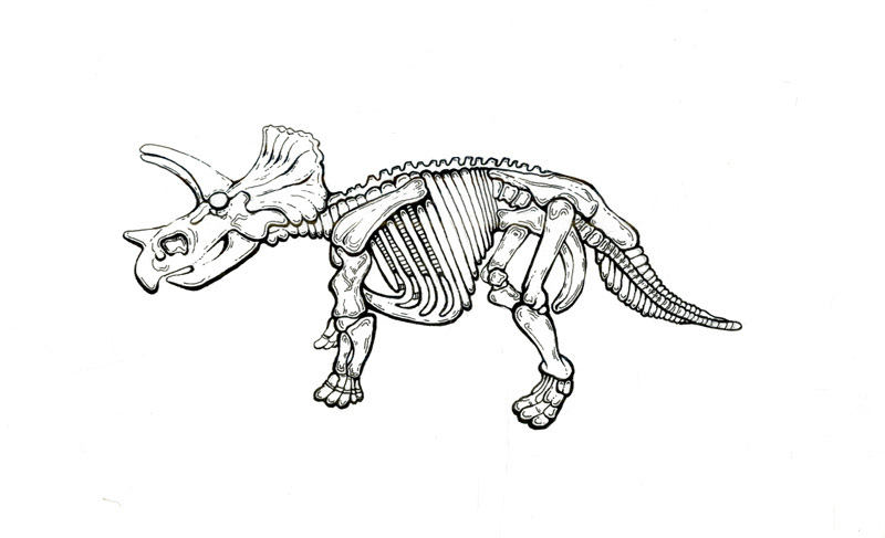 "Triceratops" 4" x 6" Pen and Ink - 2023