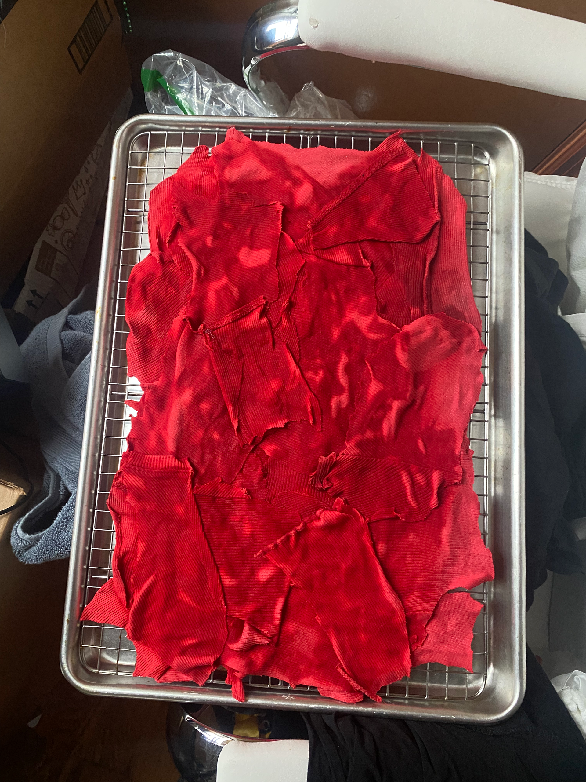2nd attempt at making the biofabric. Fabric pieces were layed down flat and a different gelatin/agae mixture ratio was used. This attempt was succesful.