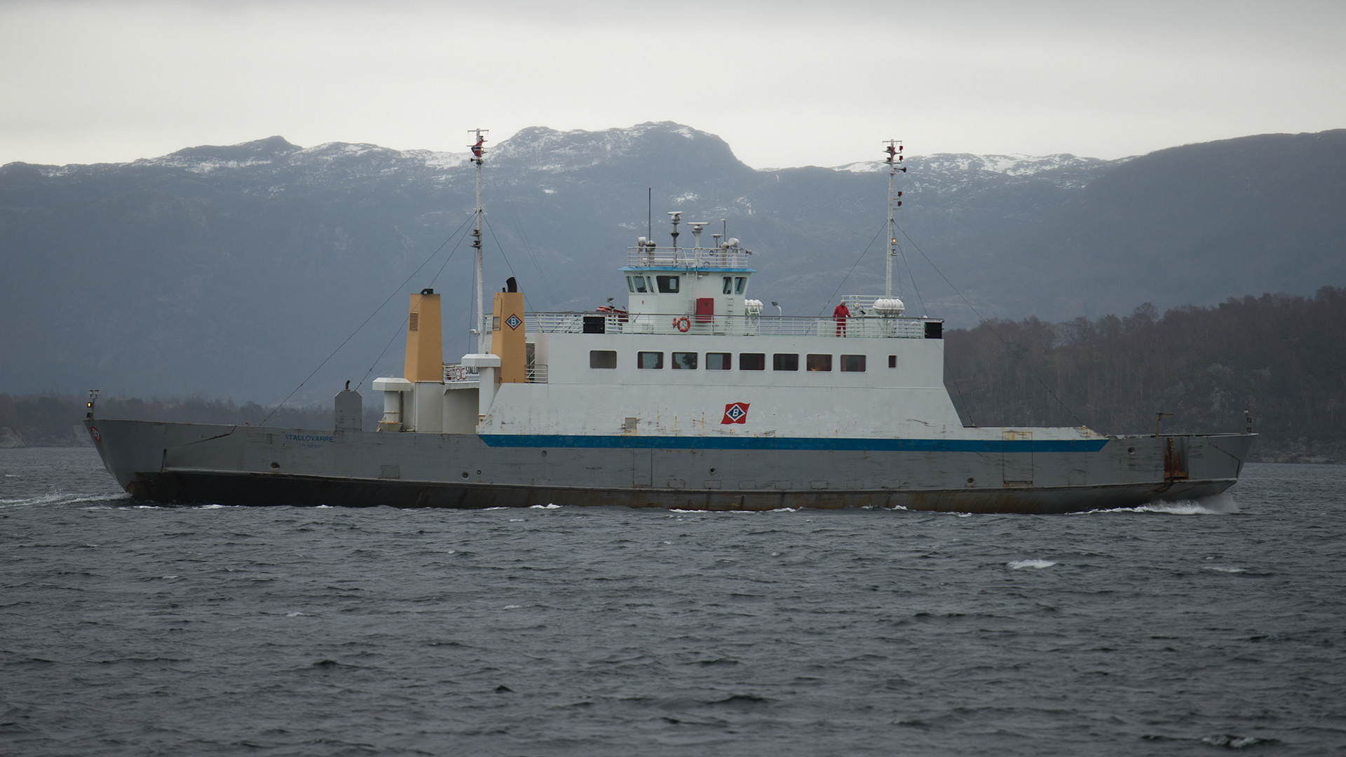 Stallovarre på vikar-oppdrag i Finnøy-ruten