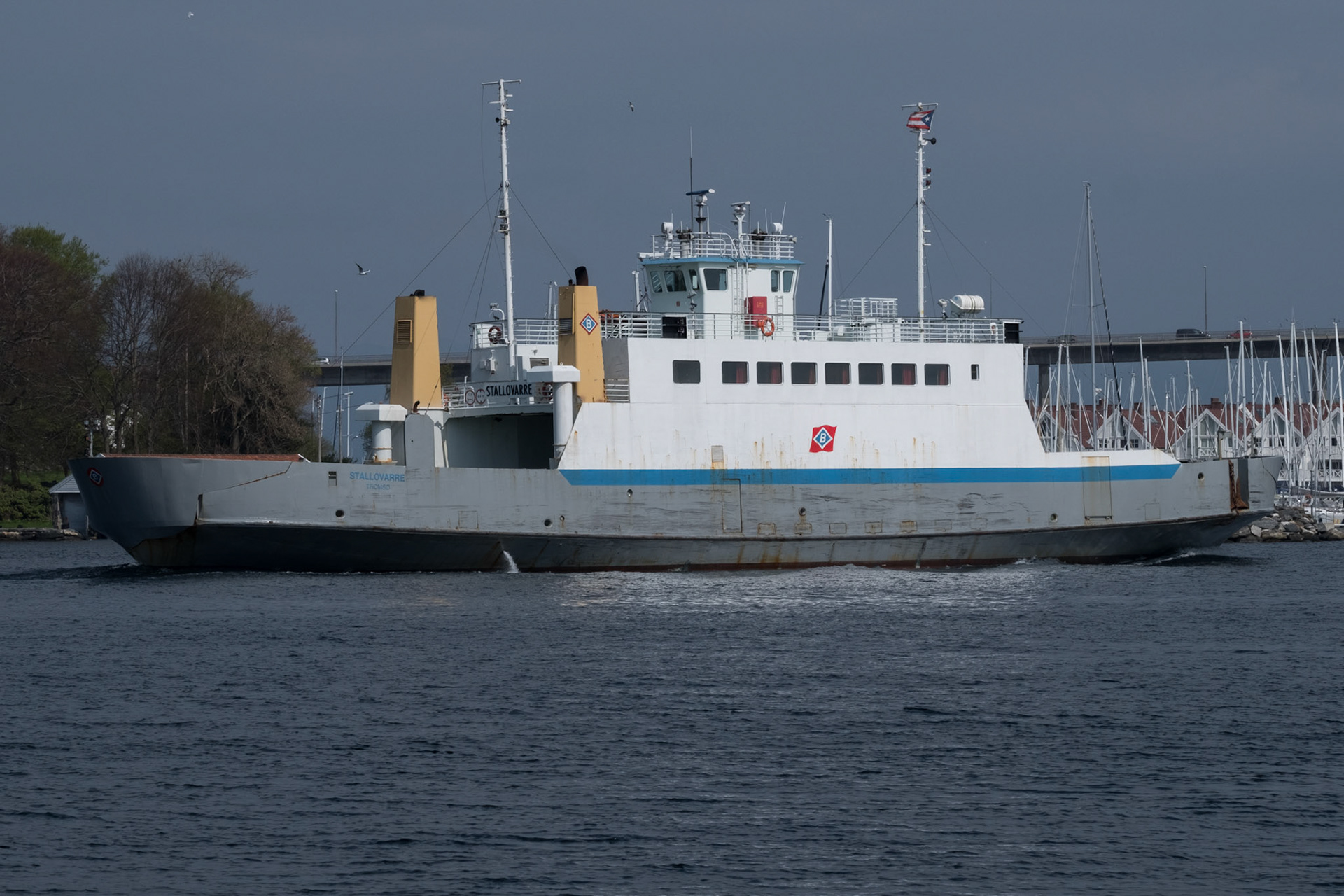 Stallovarre som vikar i Stavanger-Tau sambandet