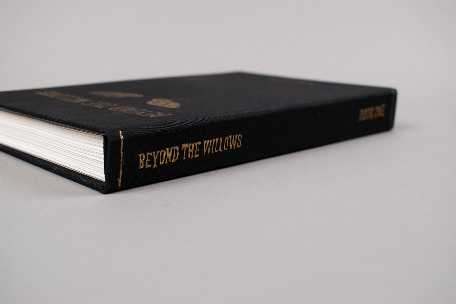Gold foil spine - book jacket removed