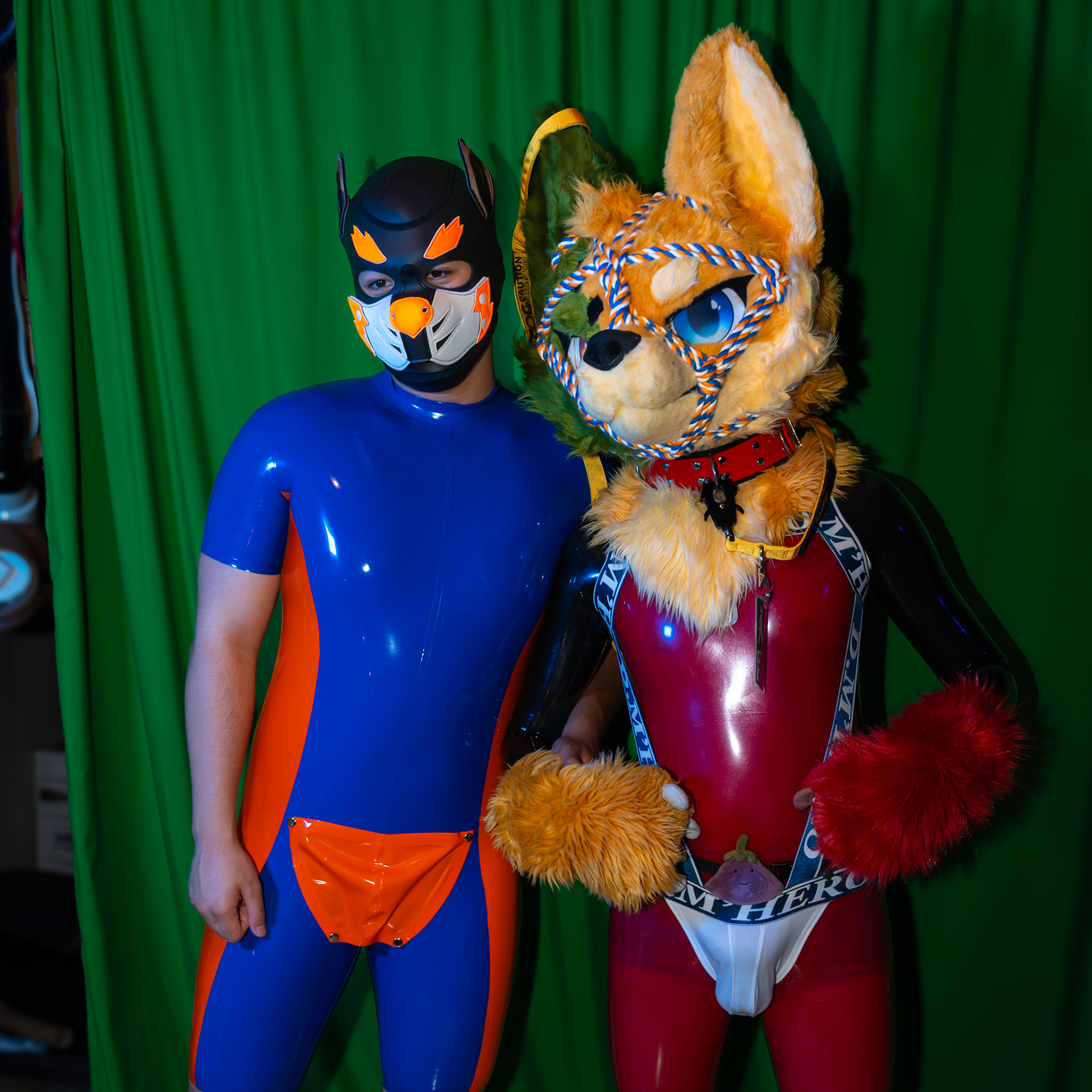 Pawty #2