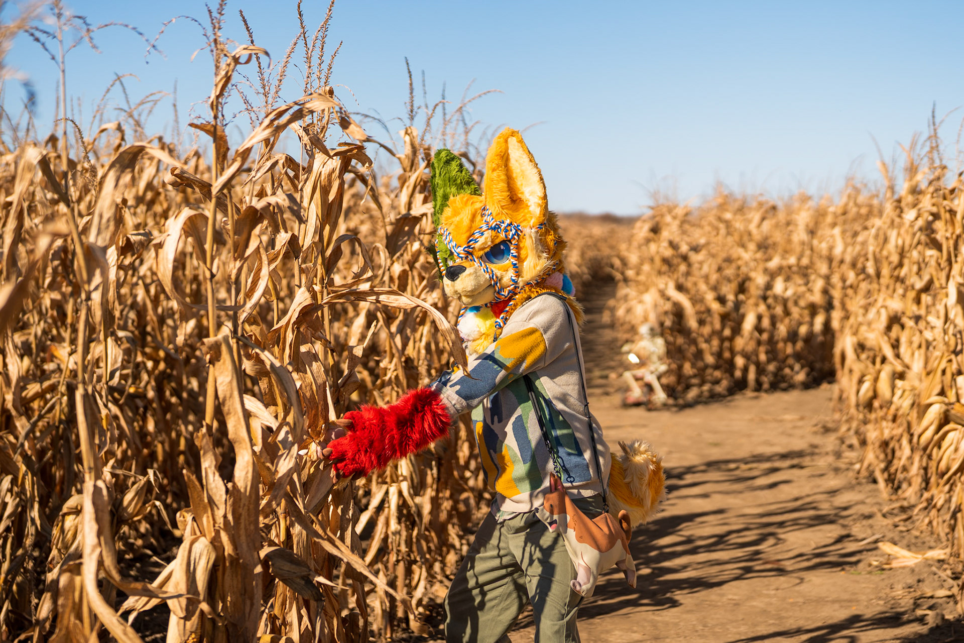 Corn Maze