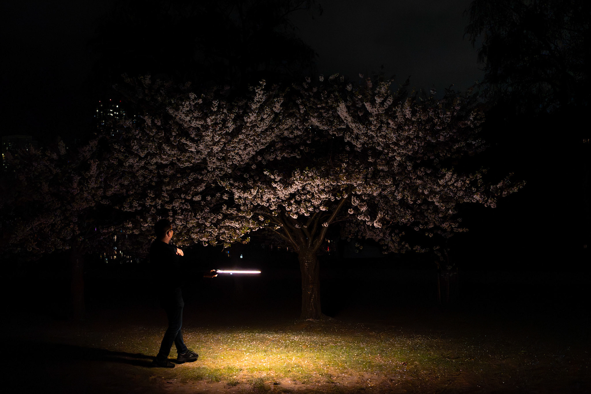 High Park 3.0