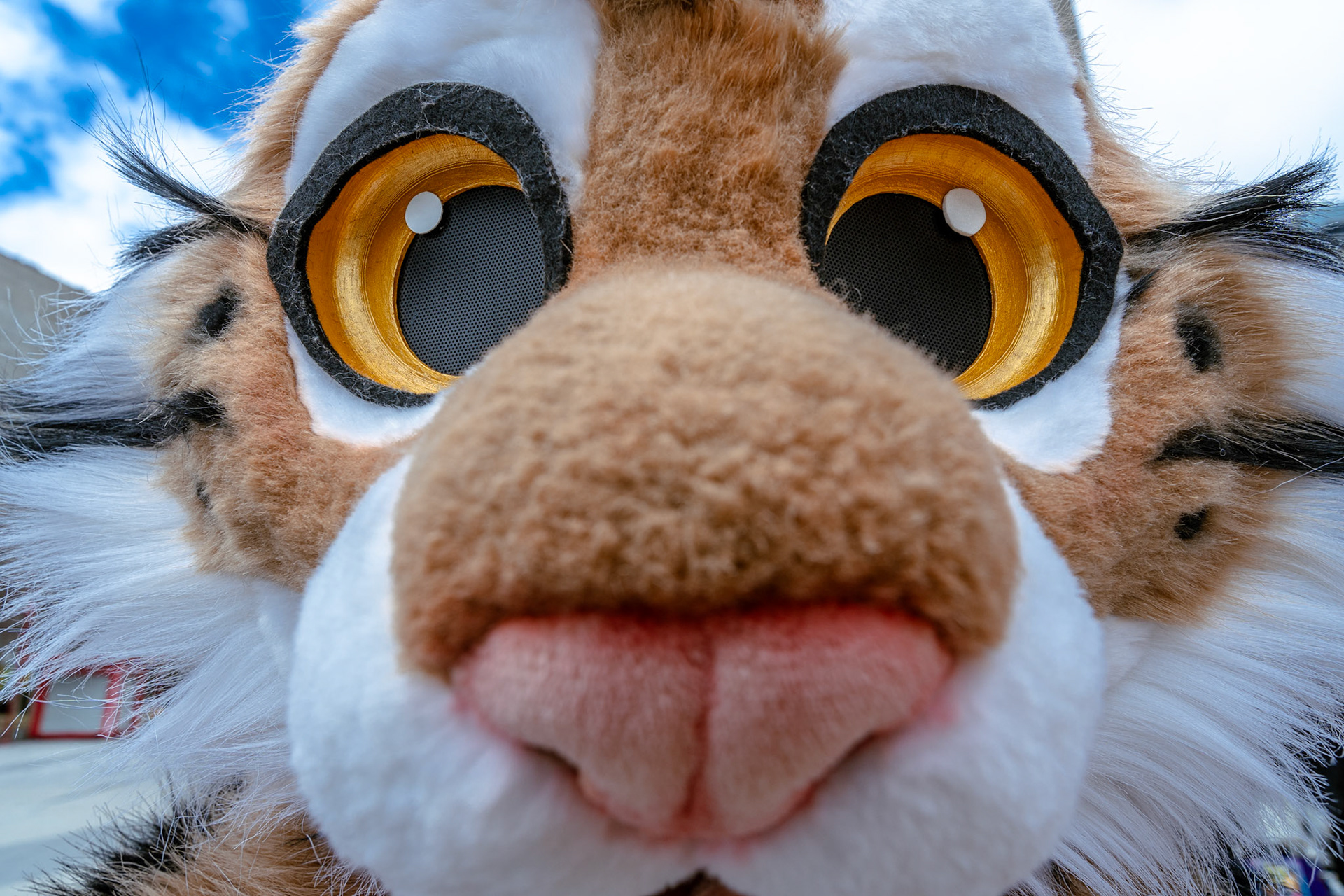 Furnal Equinox 2025