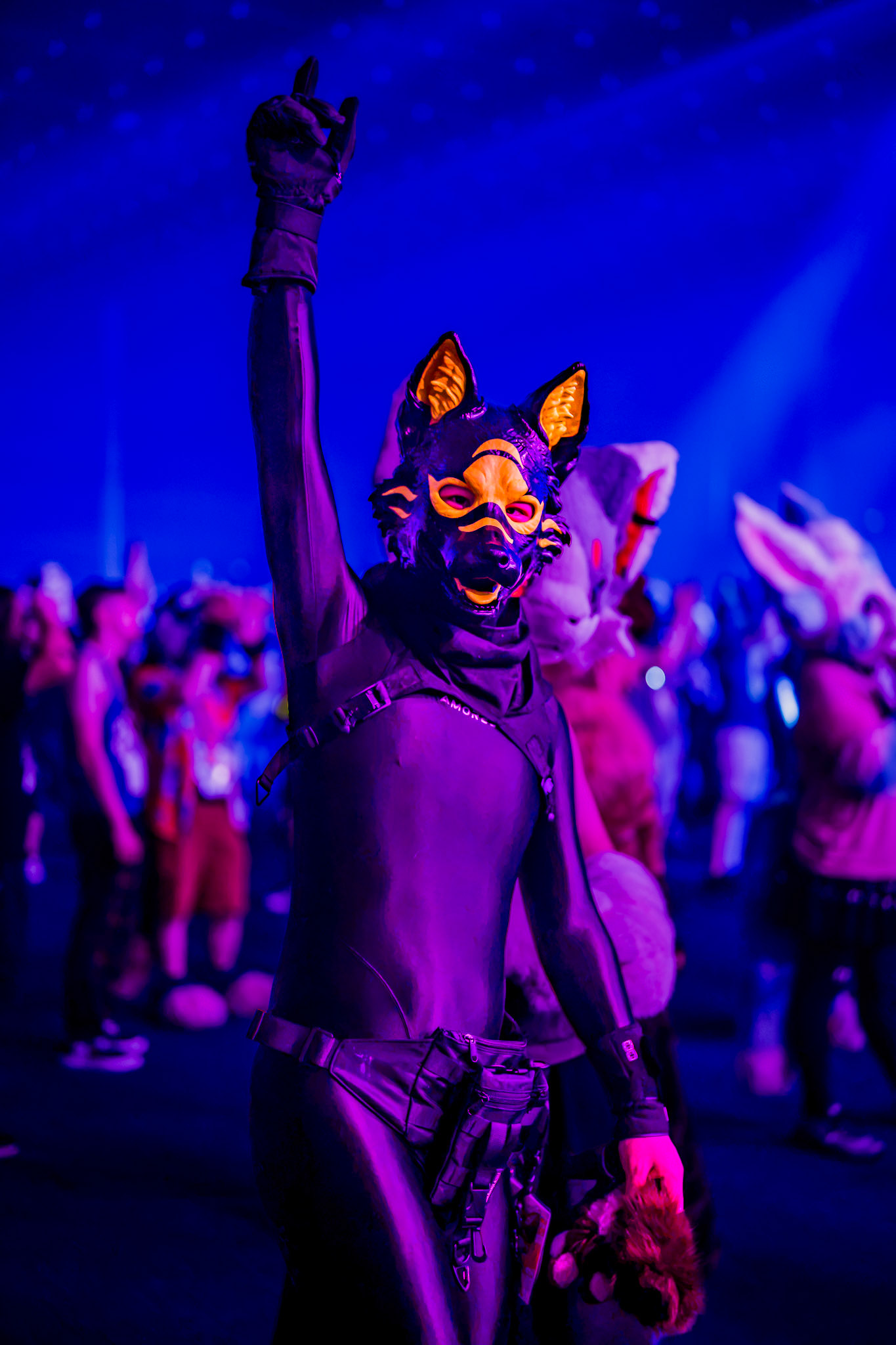 Anthrocon 2026