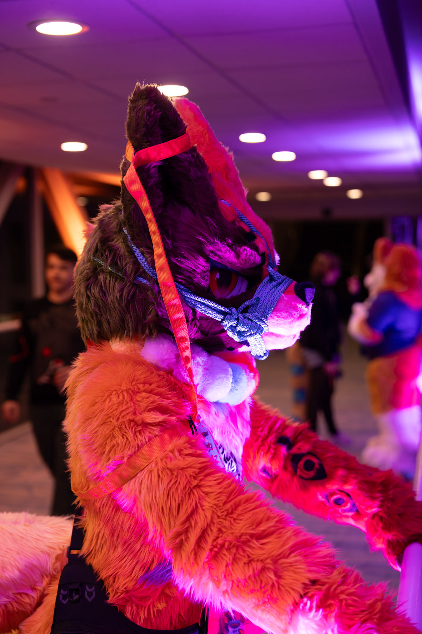 Furnal Equinox 2025
