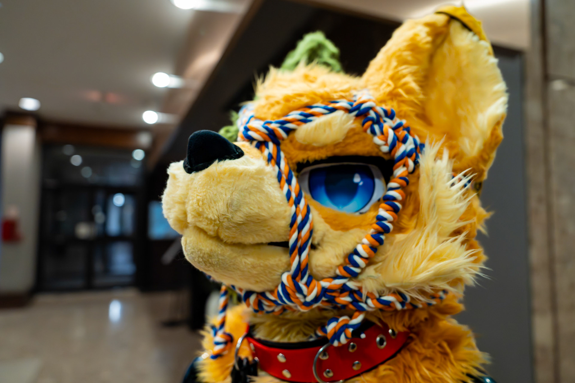Furnal Equinox