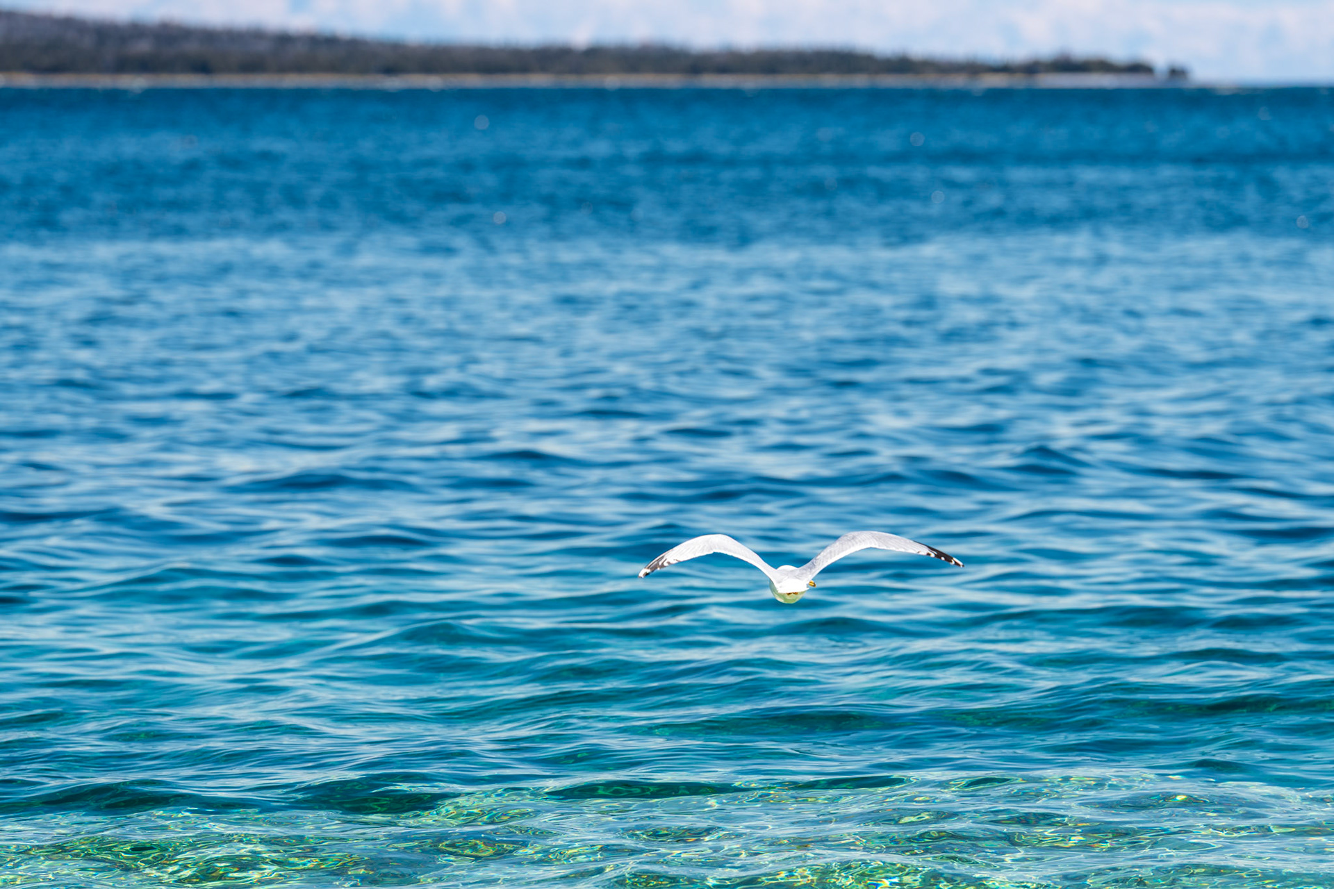 Bruce Peninsula