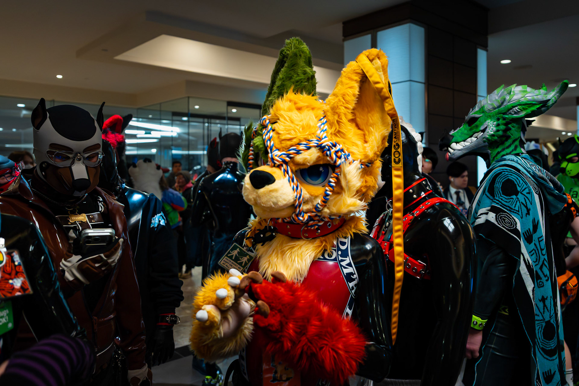Furnal Equinox