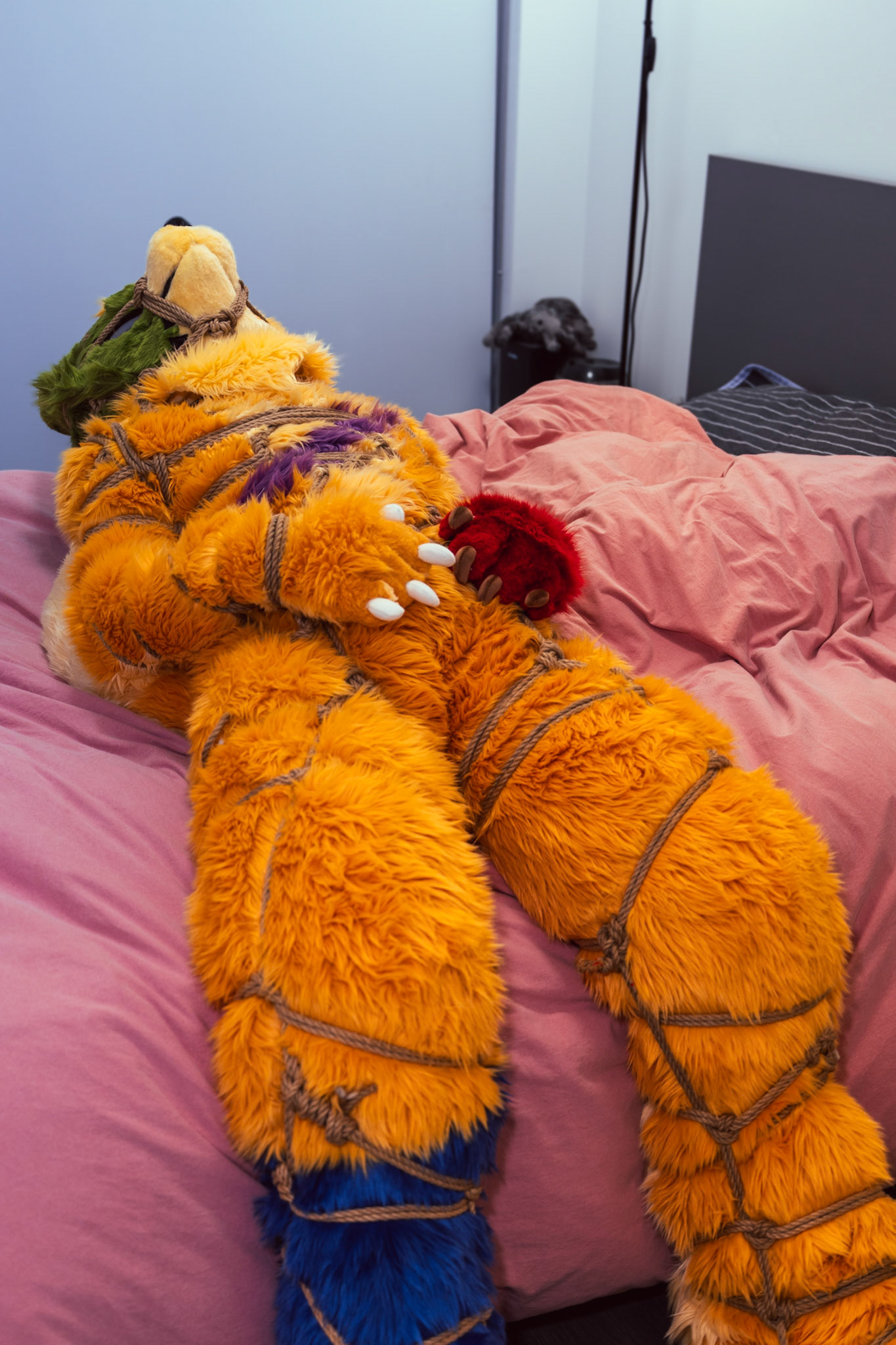 Shibari Inu