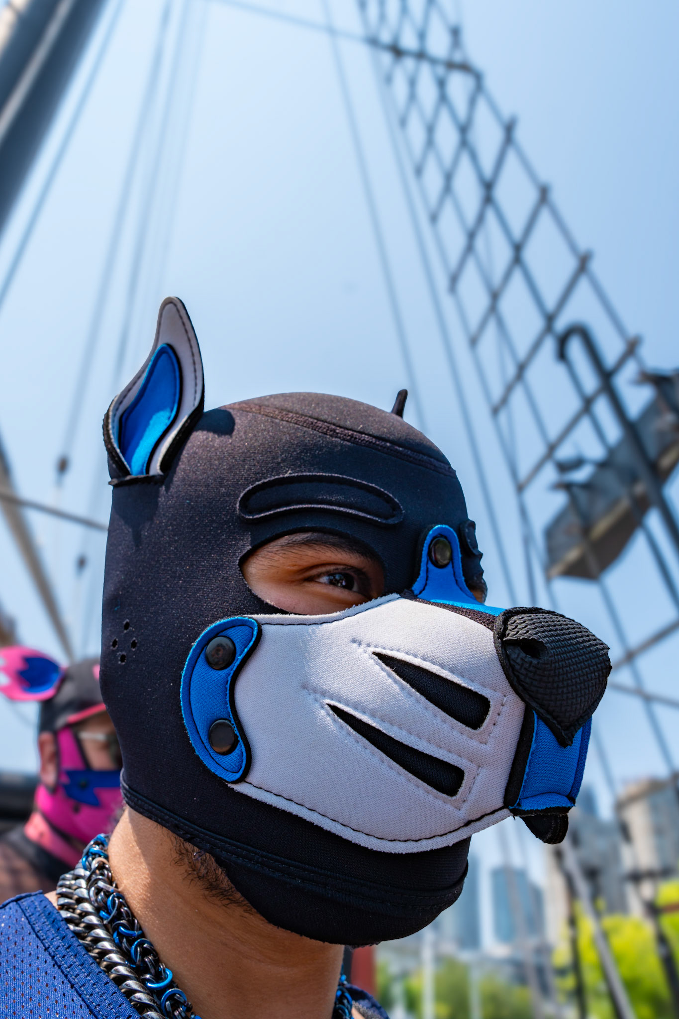 PUPPY CRUISE: ALL PAWS ON DECK