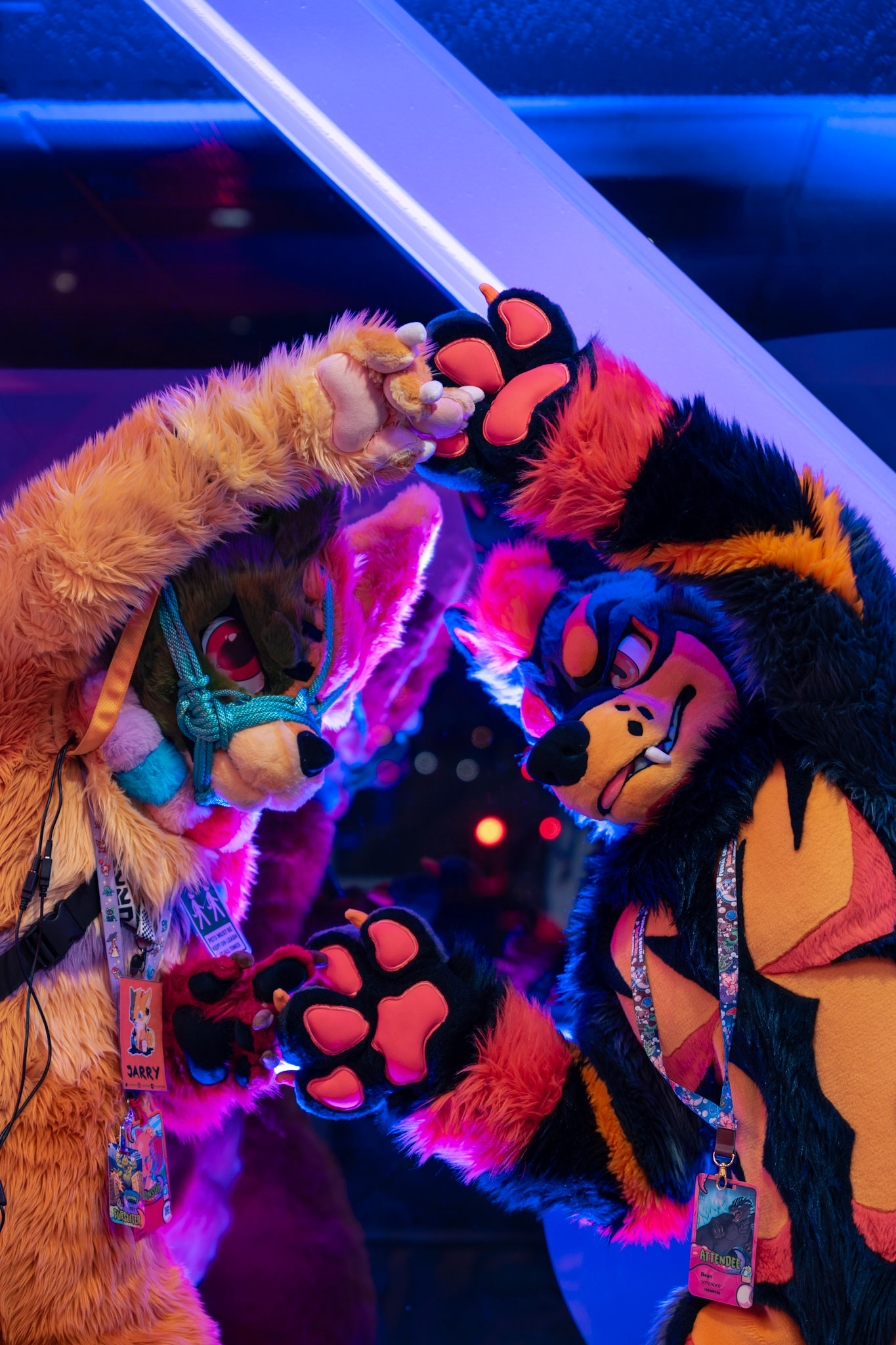 Furnal Equinox 2025