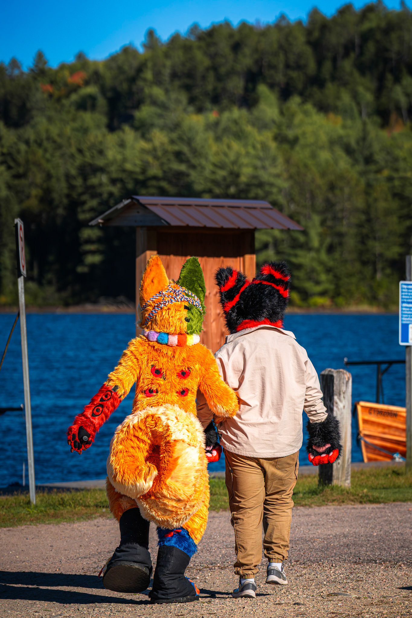 Algonquin Fall Colour