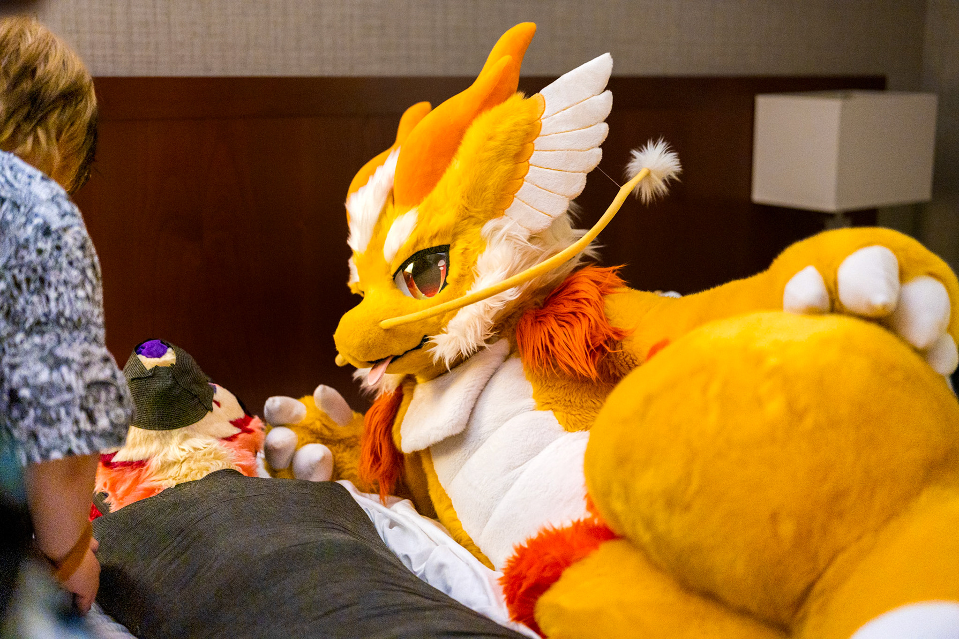 Anthrocon 2026