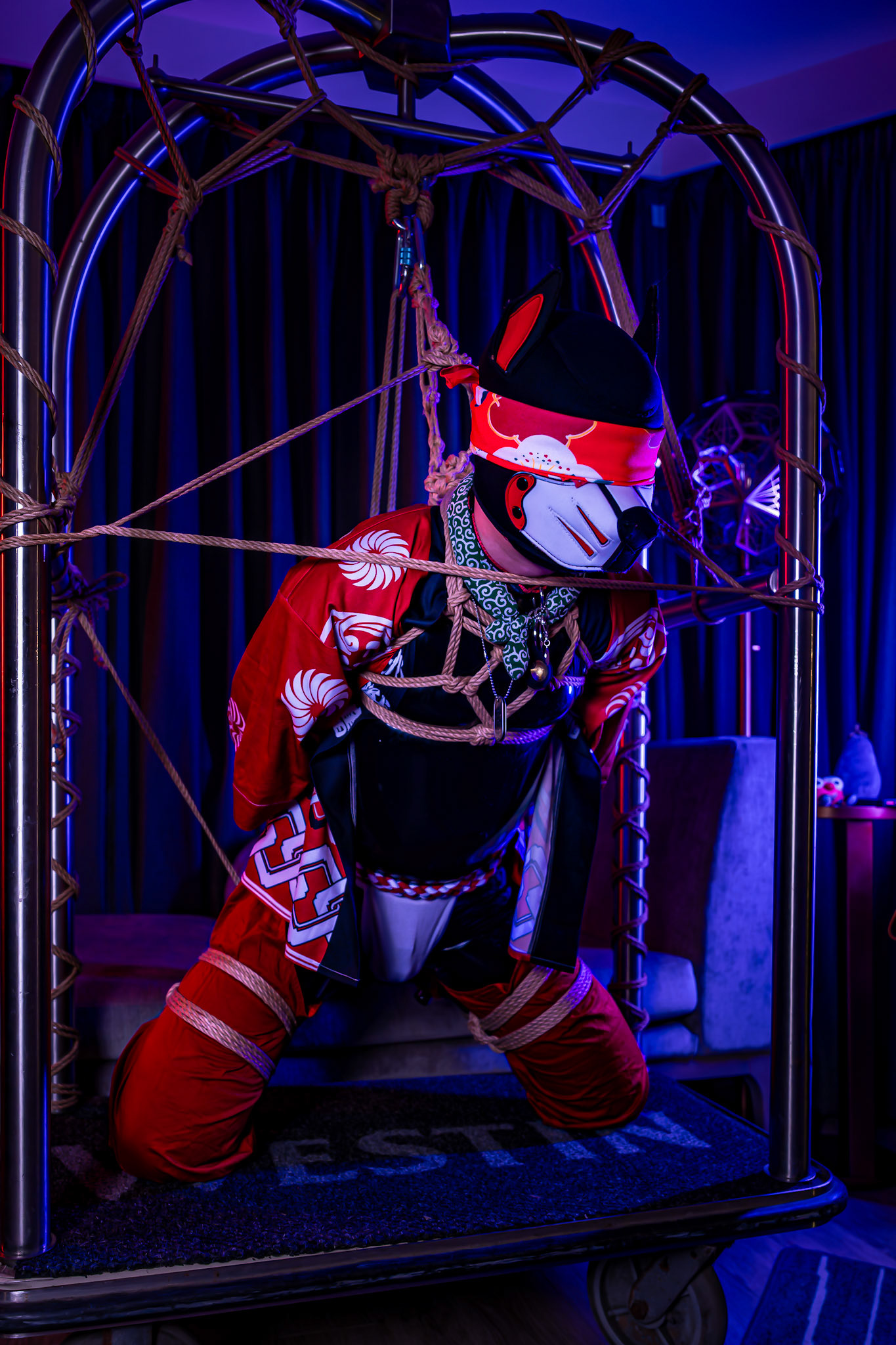 Furnal Equinox