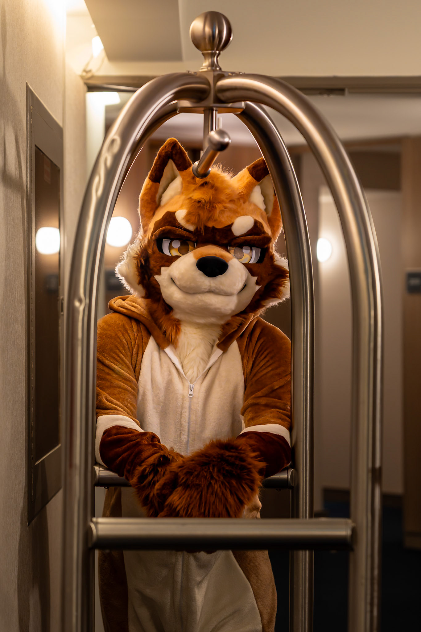 Furnal Equinox