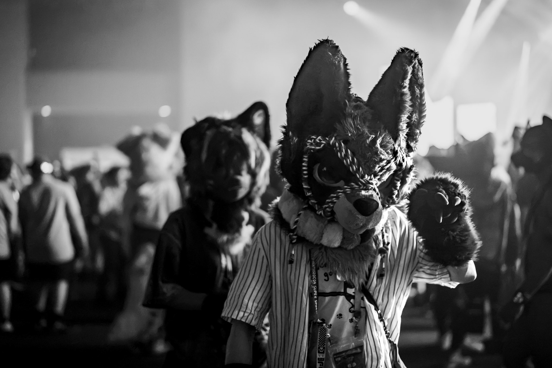 Anthrocon 2026