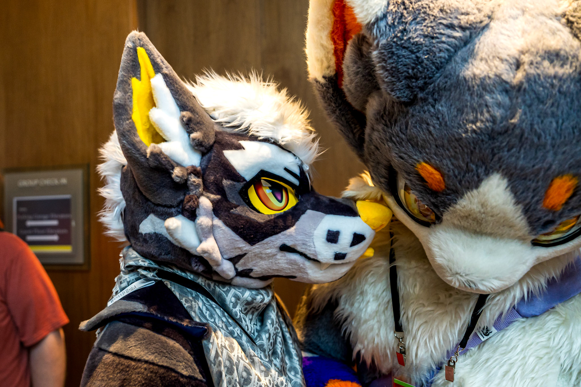 Anthrocon 2026