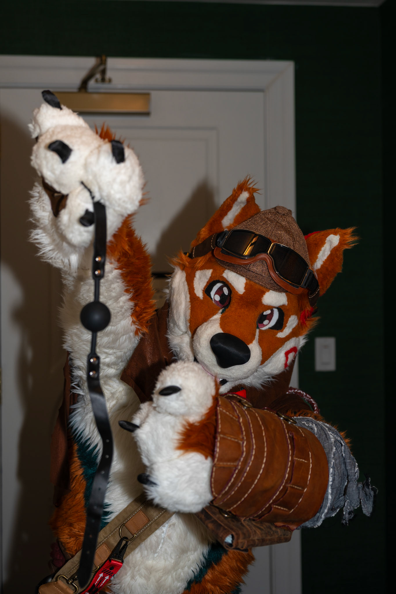 Anthrocon 2025