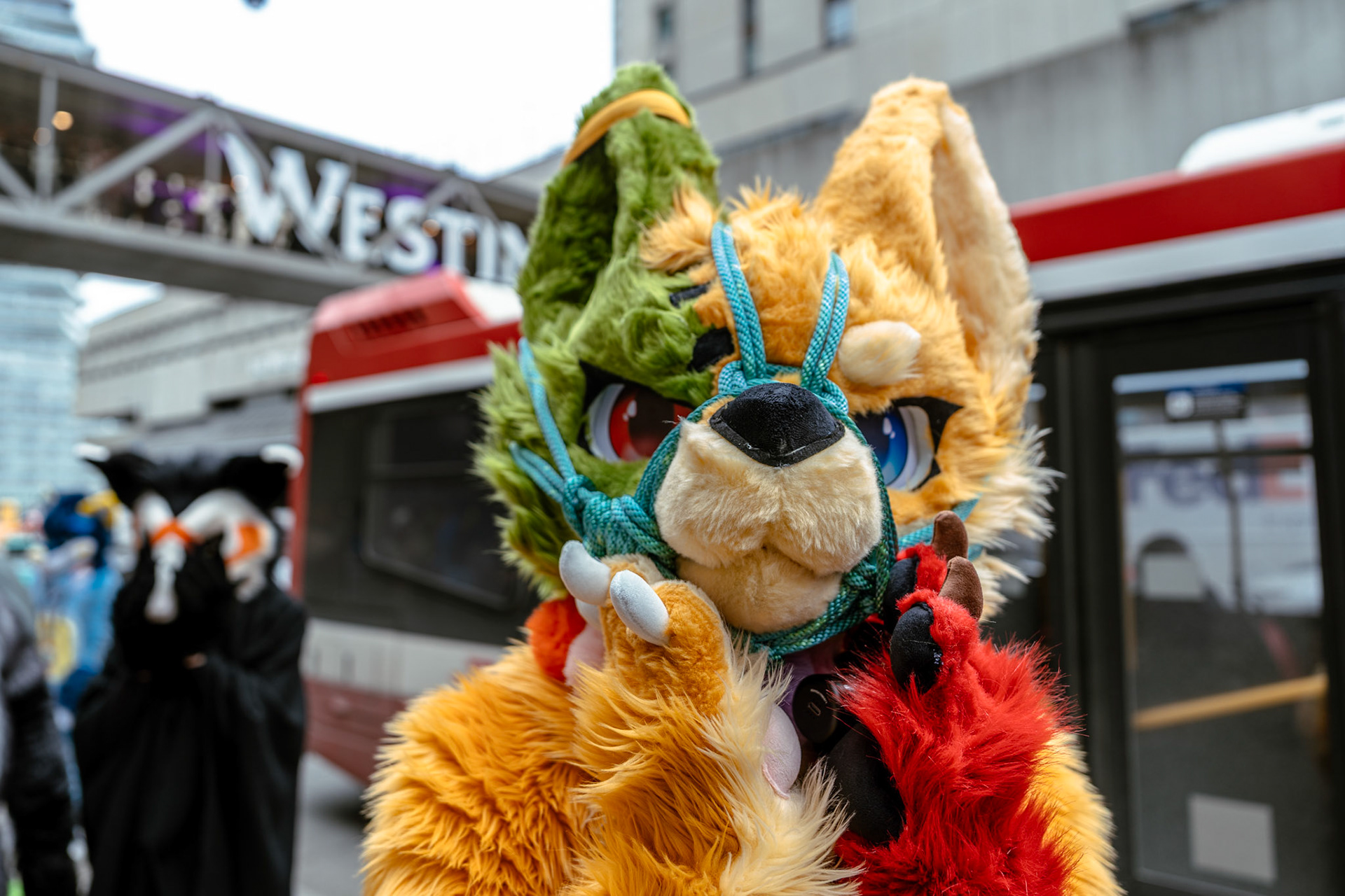 Furnal Equinox 2025