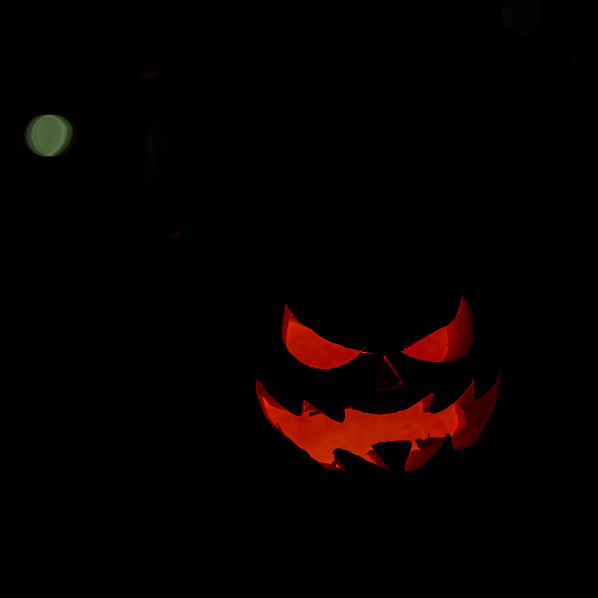 Pumpkin Trail