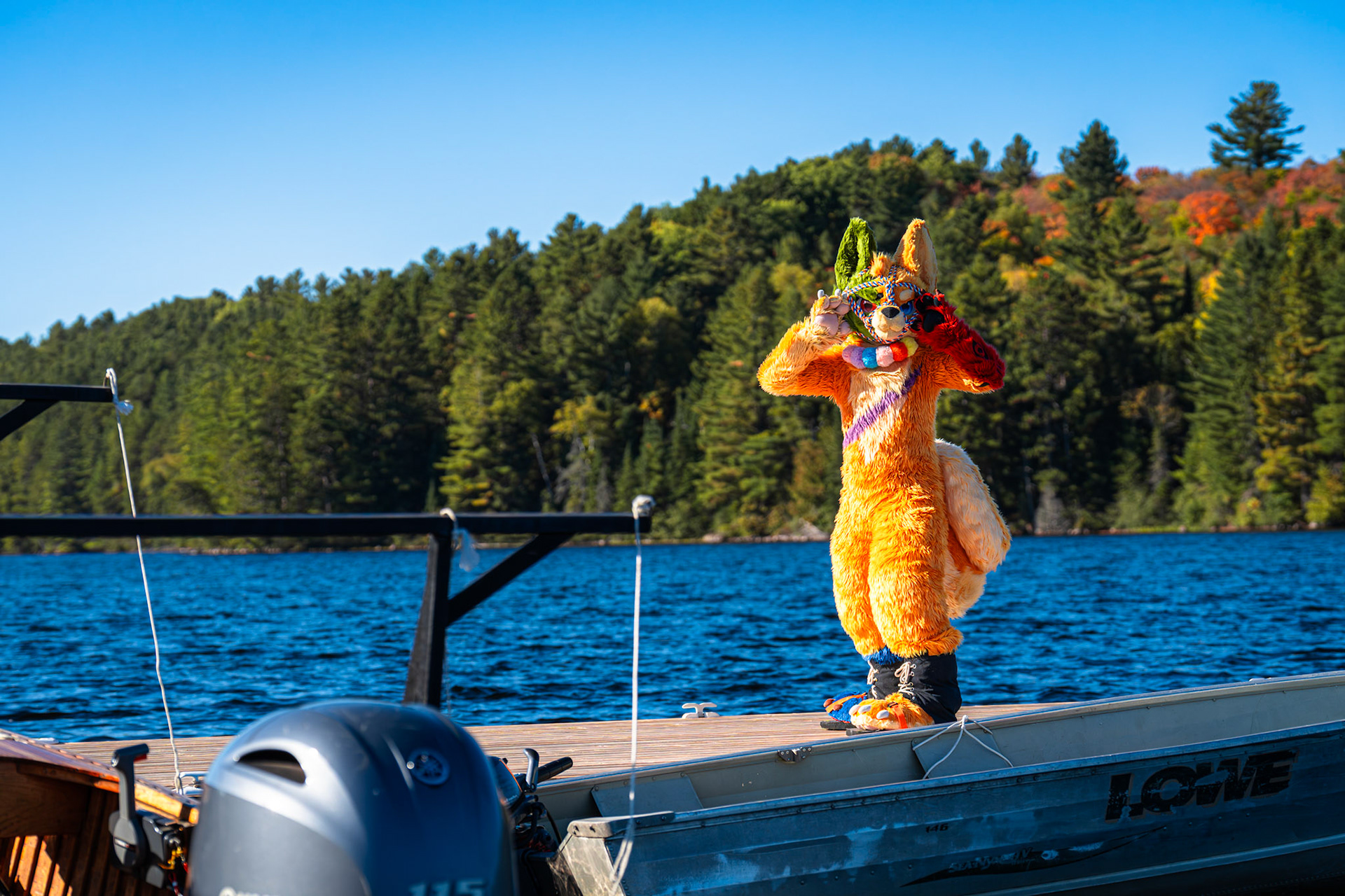 Algonquin Fall Colour
