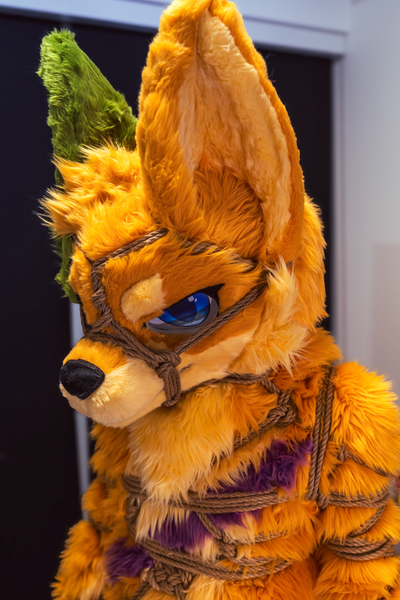 Shibari Inu