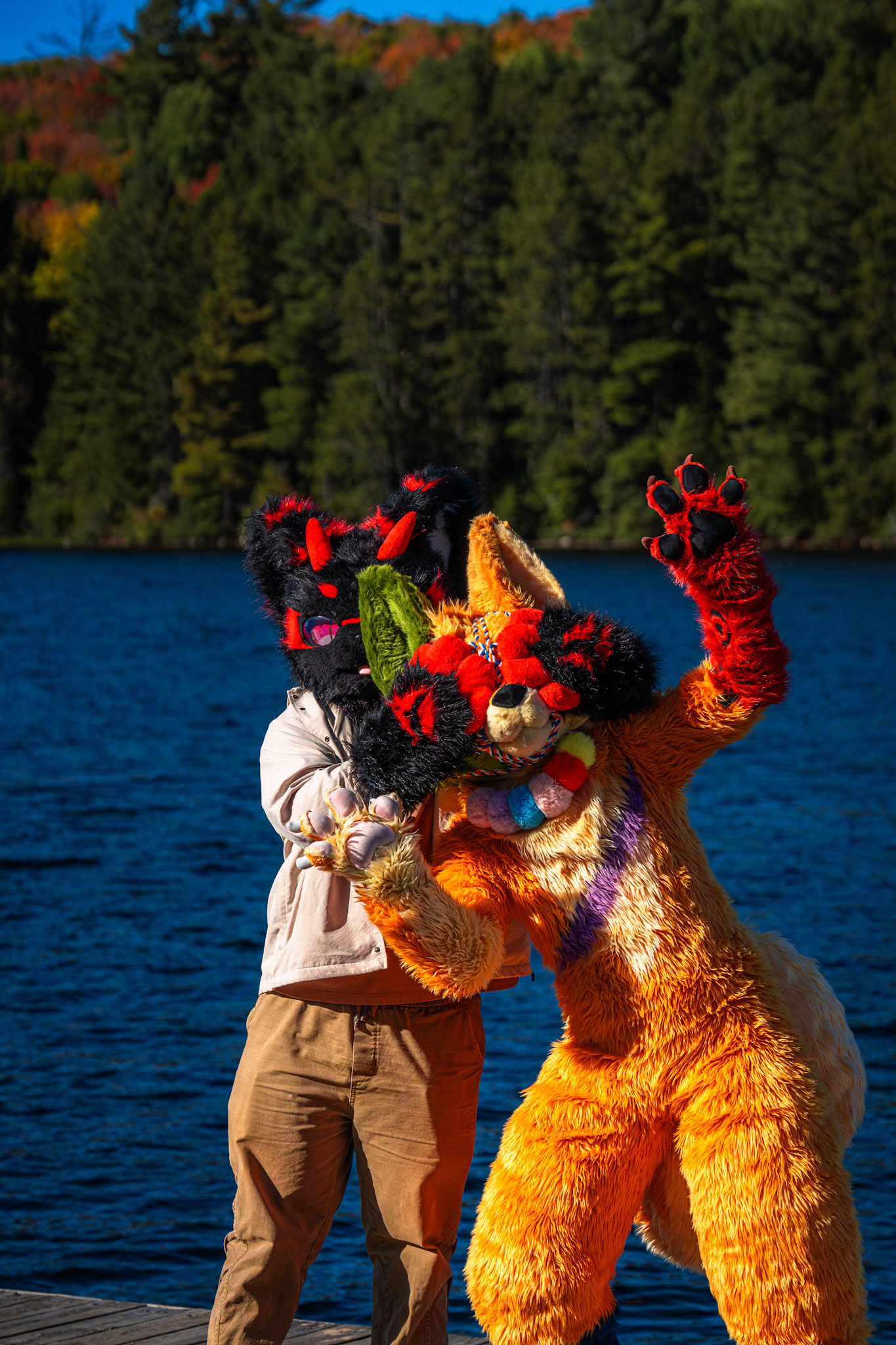 Algonquin Fall Colour