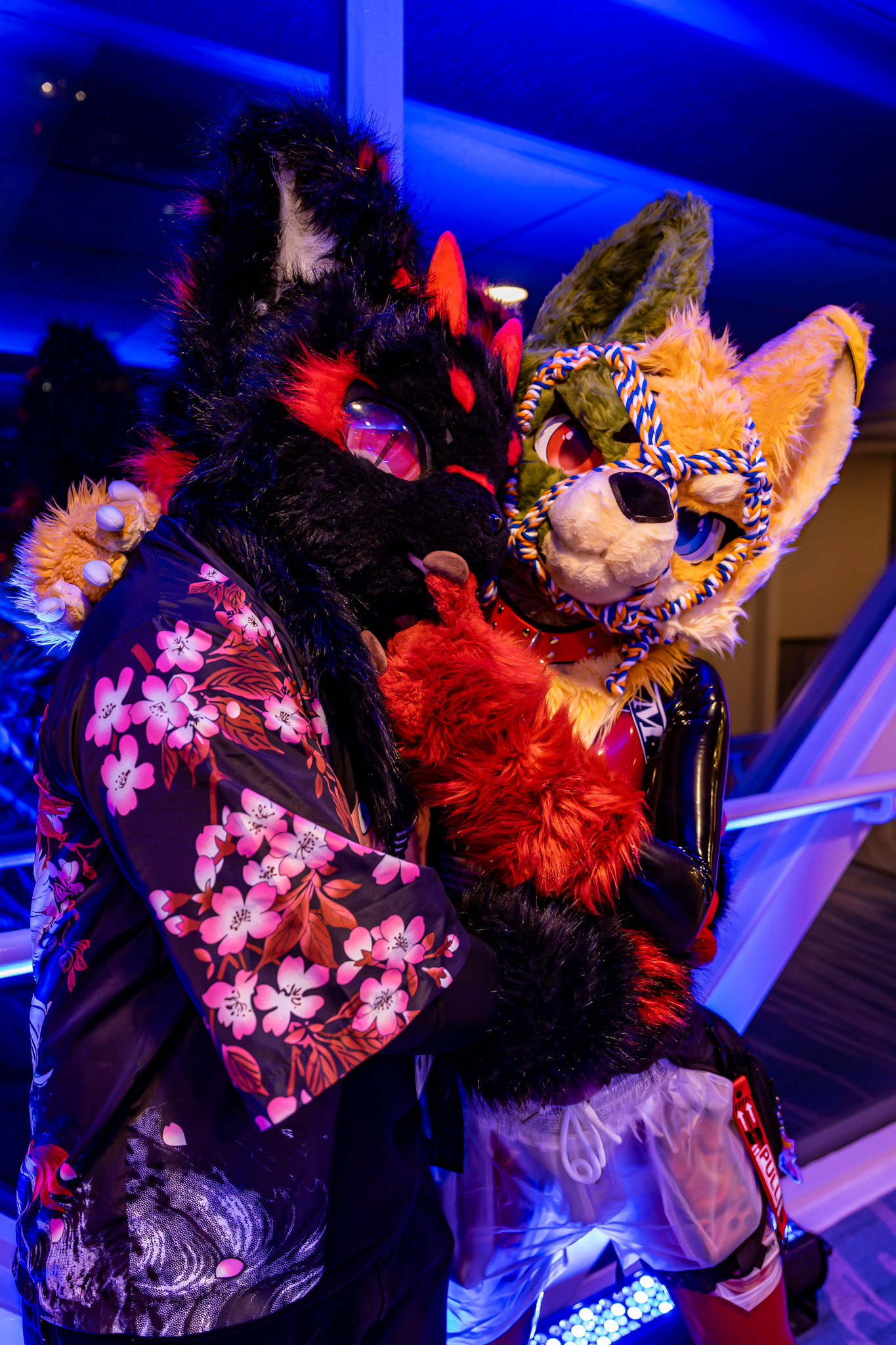 Furnal Equinox
